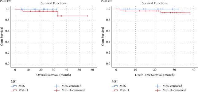 Are High Levels of Microsatellite Instability and Microsatellite Stability Identical in DNA Mismatch Repair-Deficient Colorectal Cancer Patients?