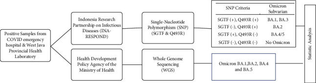 The Single-Nucleotide Polymorphism (SNP) Validity to Detect Omicron Variants.