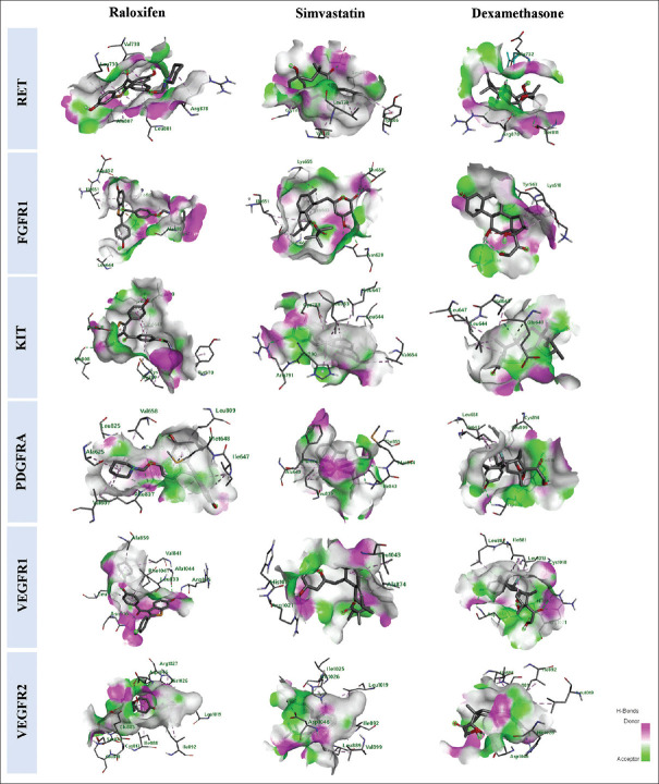 Computational approach in searching for dual action multitarget inhibitors for osteosarcoma.