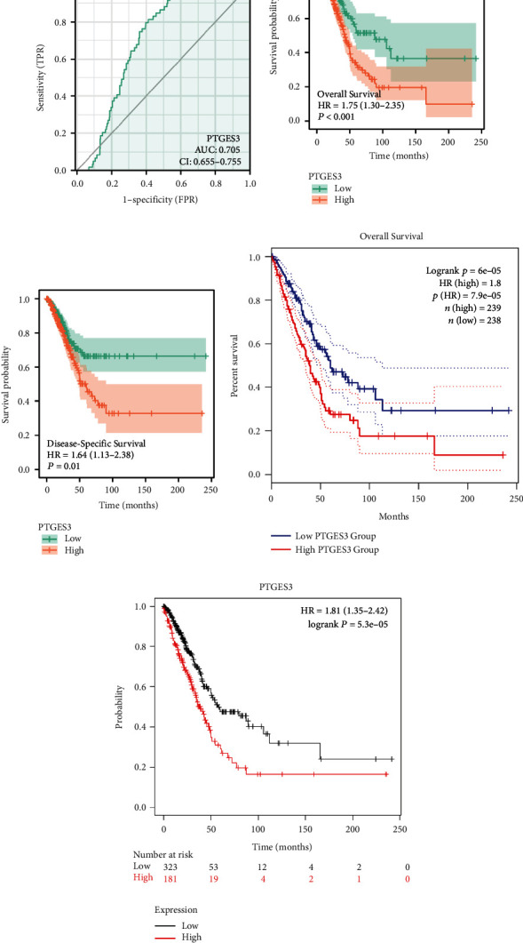 Effect of PTGES3 on the Prognosis and Immune Regulation in Lung Adenocarcinoma.