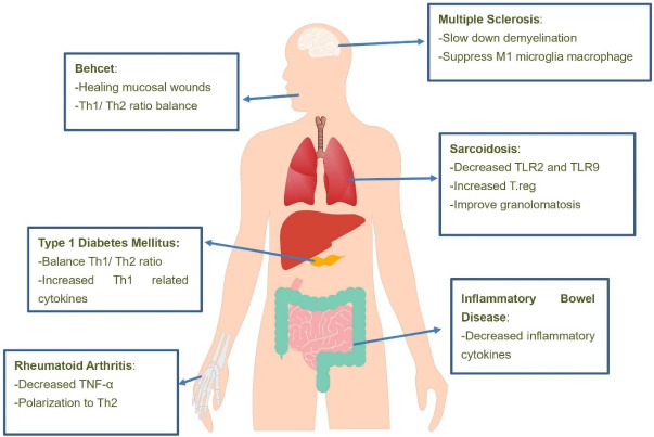 Effect of Nicotine on Immune System Function.