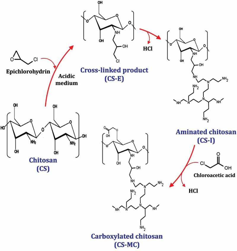 Exploring the biomedical potential of a novel modified glass ionomer cement against the pandrug-resistant oral pathogen <i>Candida albicans</i> SYN-01.