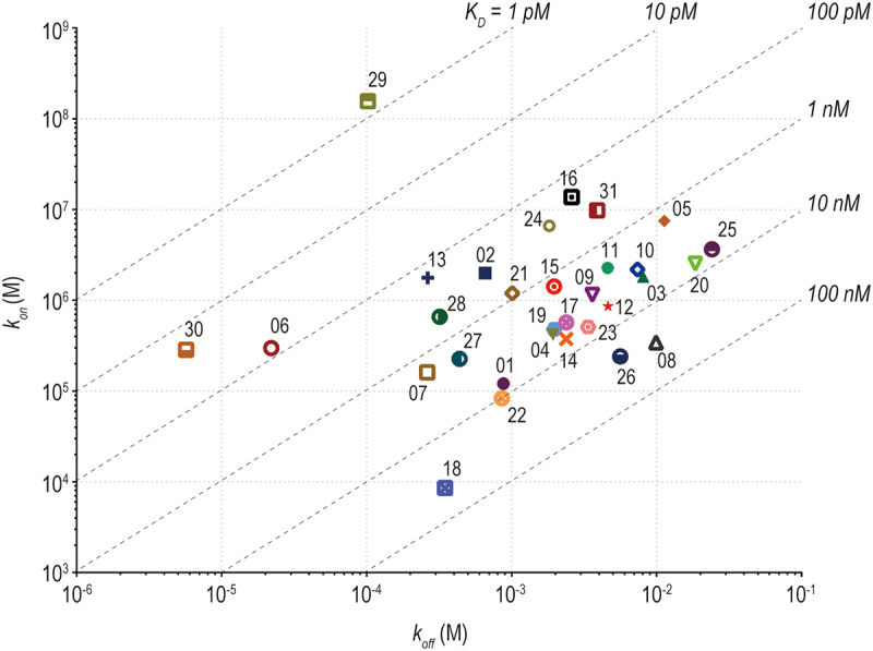 Characterization of anti-SARS-CoV-2 monoclonal antibodies focusing on antigen binding, neutralization, and FcγR activation via formation of immune complex.