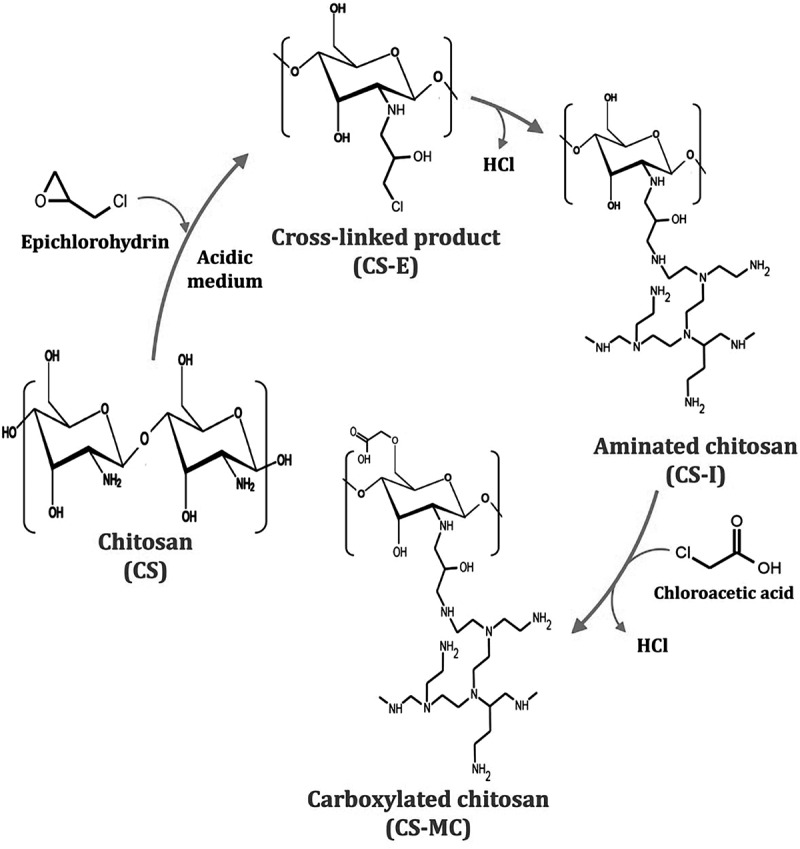 Exploring the biomedical potential of a novel modified glass ionomer cement against the pandrug-resistant oral pathogen <i>Candida albicans</i> SYN-01.