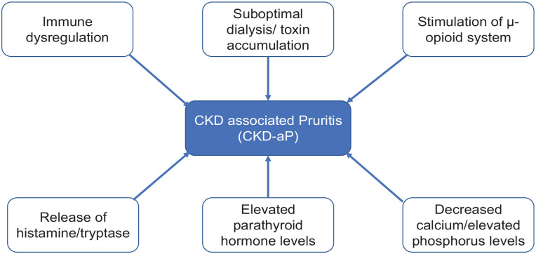 Five Things to Know About Pruritus in Patients on Dialysis.