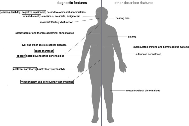 Bardet-Biedl Syndrome: Current Perspectives and Clinical Outlook.