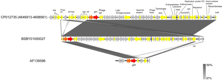 Characterization of <i>Shigella flexneri</i> in northern Vietnam in 2012-2016.