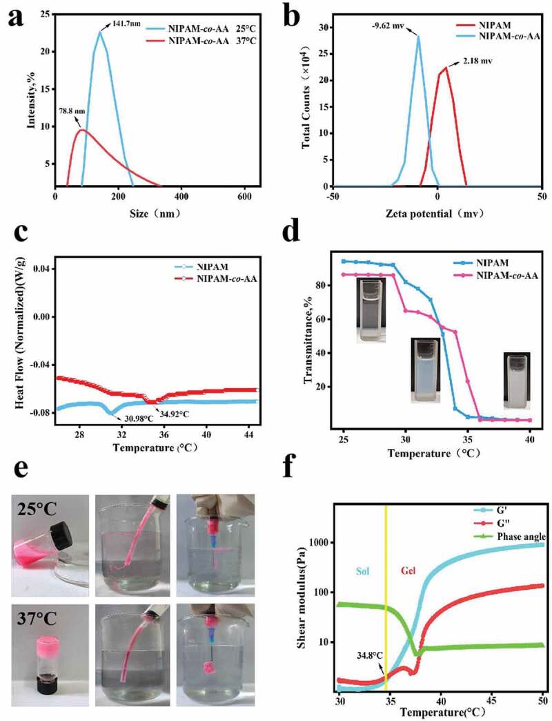 Temperature sensitive nanogels for real-time imaging during transcatheter arterial embolization.