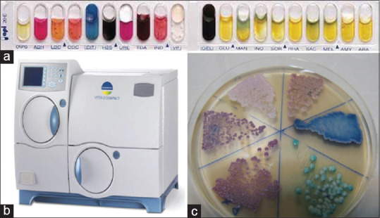 A Comprehensive Review of Identification Methods for Pathogenic Yeasts: Challenges and Approaches.