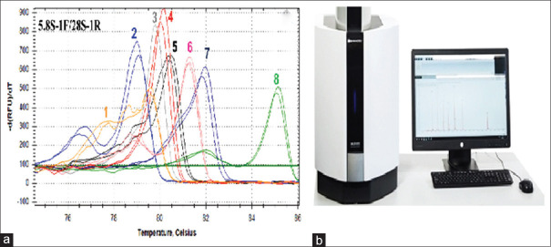 A Comprehensive Review of Identification Methods for Pathogenic Yeasts: Challenges and Approaches.