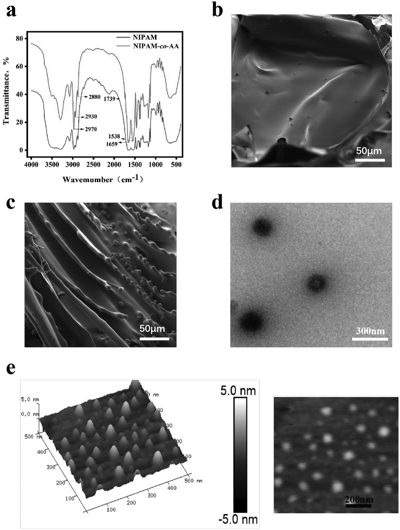 Temperature sensitive nanogels for real-time imaging during transcatheter arterial embolization.