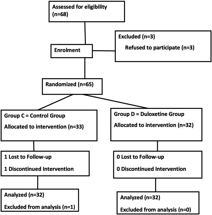 Duloxetine in Reducing Catheter-Related Bladder Discomfort: A Prospective, Randomized, Double-Blind, Placebo-Controlled Study.