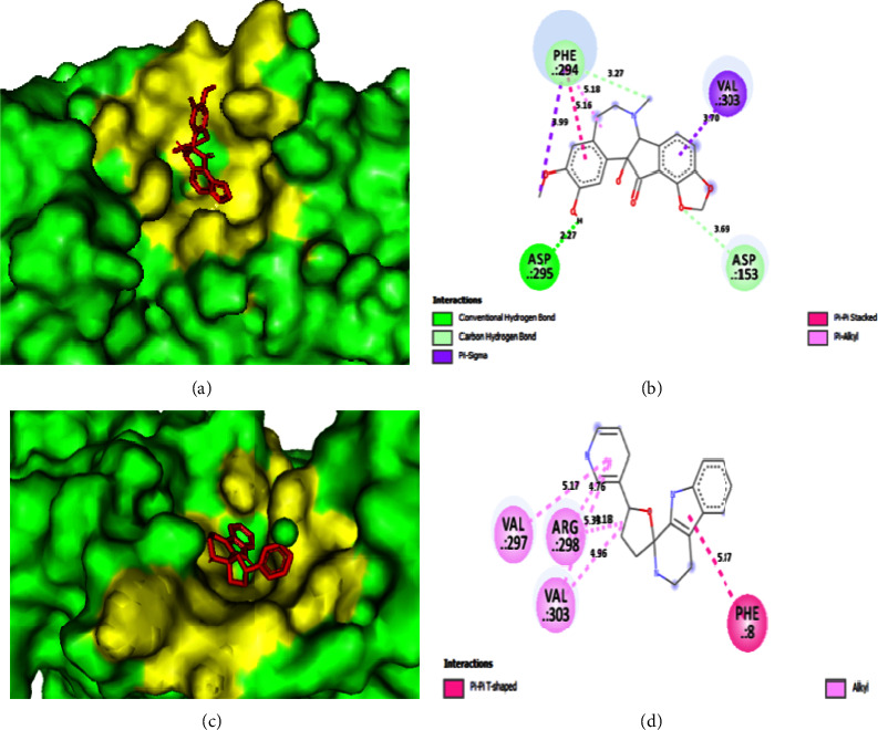 A Computational Study on Selected Alkaloids as SARS-CoV-2 Inhibitors: PASS Prediction, Molecular Docking, ADMET Analysis, DFT, and Molecular Dynamics Simulations.