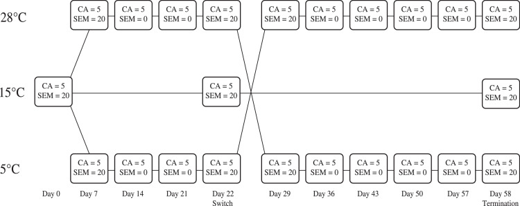 Indigenous and introduced Collembola differ in desiccation resistance but not its plasticity in response to temperature