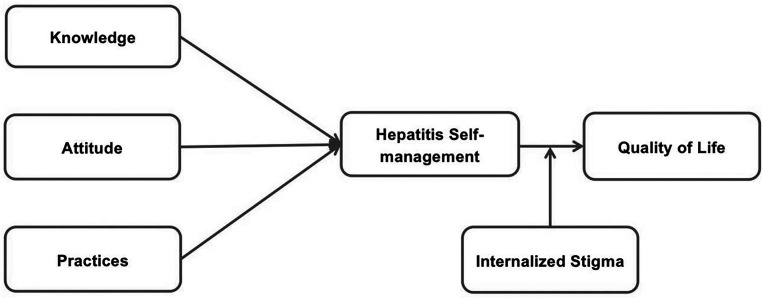 Assessment of hepatitis-related knowledge, attitudes, and practices on quality of life with the moderating role of internalized stigma among hepatitis B-positive patients in Pakistan.