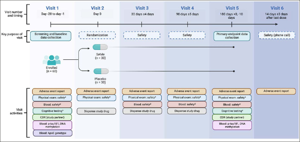 Protocol of a Phase II Randomized, Multi-Center, Double-Blind, Placebo-Controlled Trial of S-Adenosyl Methionine in Participants with Mild Cognitive Impairment or Dementia Due to Alzheimer's Disease.