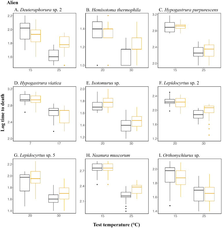 Indigenous and introduced Collembola differ in desiccation resistance but not its plasticity in response to temperature