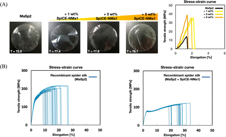 Molecular mechanisms of the high performance of spider silks revealed through multi-omics analysis.