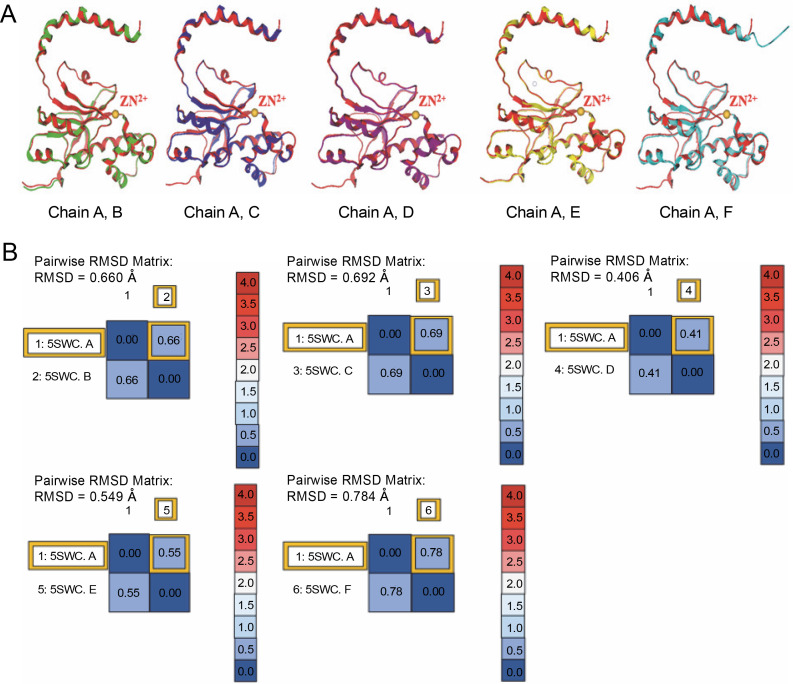 Identification of anti-cyanobacterial leads targeting carbonic anhydrase from phytochemical database using <i>in silico</i> approach.