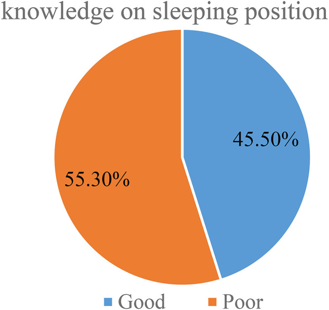 The Practice of Infant Sleep Position among Mothers in Jimma Town Public Health Institutions, Jimma, Oromia, South West Ethiopia, 2022.