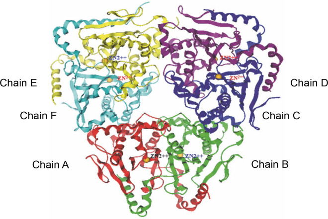 Identification of anti-cyanobacterial leads targeting carbonic anhydrase from phytochemical database using <i>in silico</i> approach.