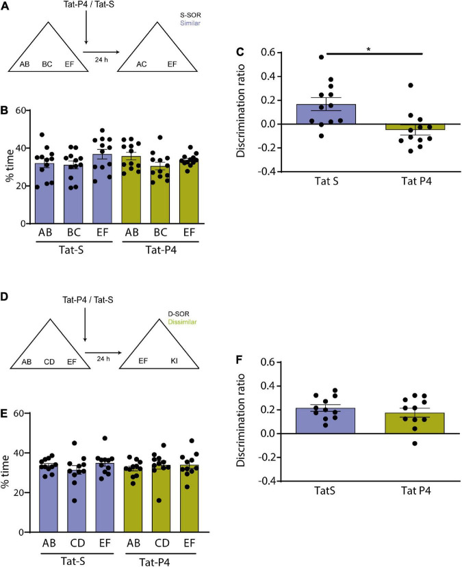 Endocytosis is required for consolidation of pattern-separated memories in the perirhinal cortex.