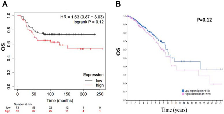 The Prognostic Role of HuR Varies Between Different Subtypes of Breast Cancer Patients: Data Mining and Retrospective Analysis.