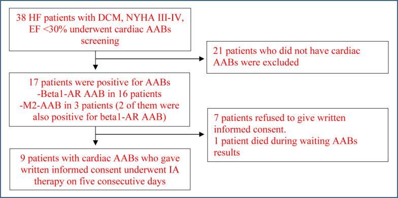 Immunoadsorption therapy in refractory heart failure patients with dilated cardiomyopathy: a potential therapeutic option.