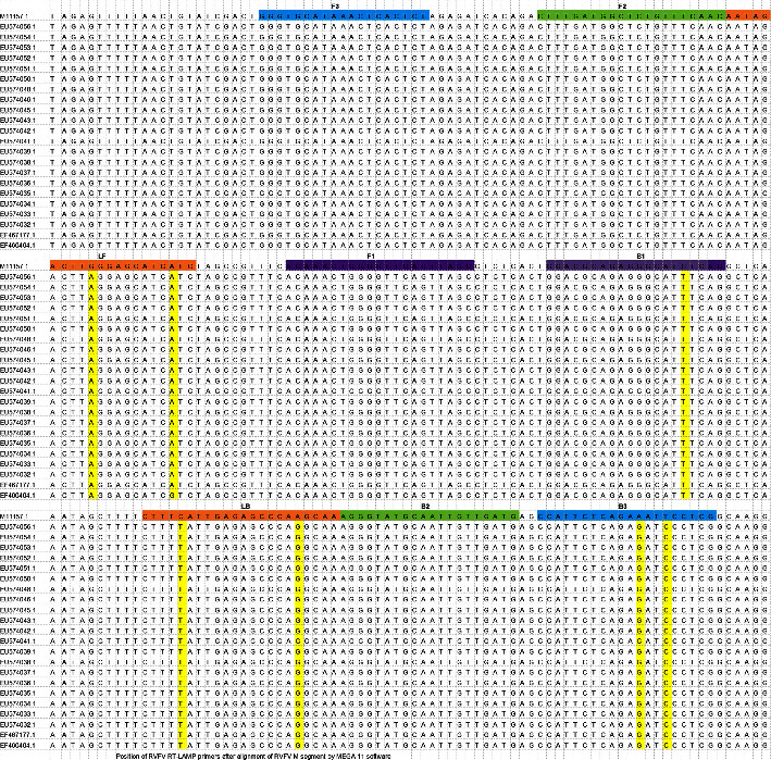 Development and Validation of Rapid Colorimetric Reverse Transcription Loop-Mediated Isothermal Amplification for Detection of Rift Valley Fever Virus.