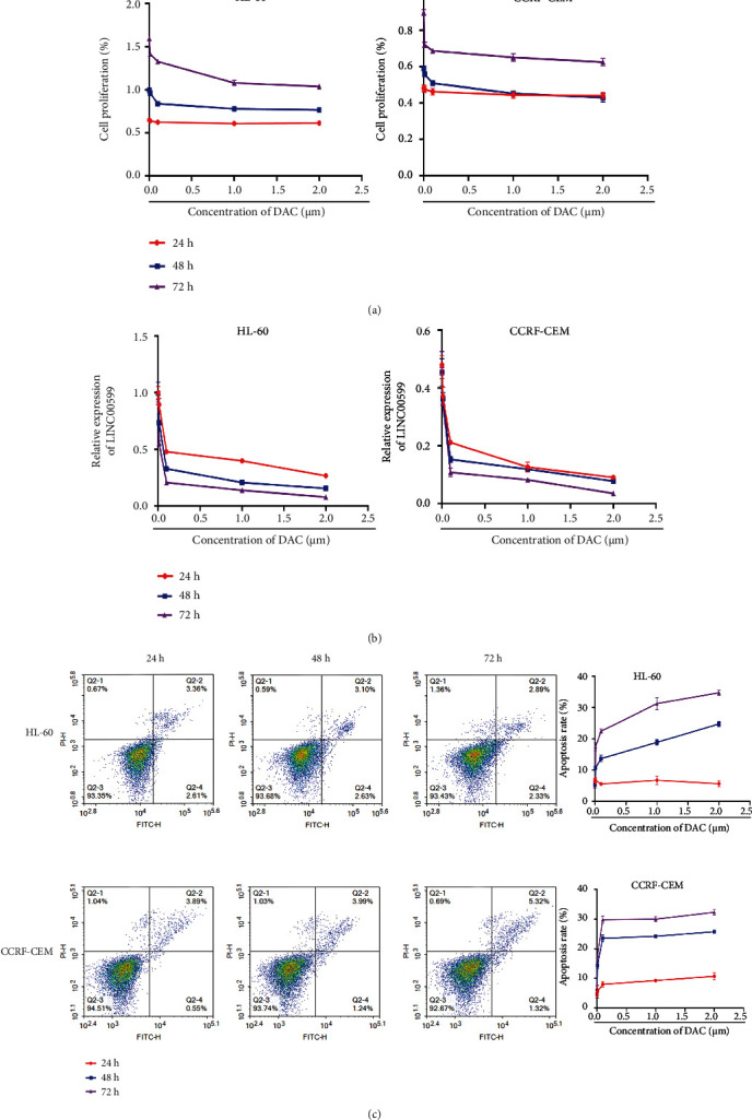 Mechanism of Action of Decitabine in the Treatment of Acute Myeloid Leukemia by Regulating LINC00599.