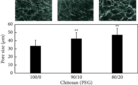 The Impact of Polyethylene Glycol-Modified Chitosan Scaffolds on the Proliferation and Differentiation of Osteoblasts.