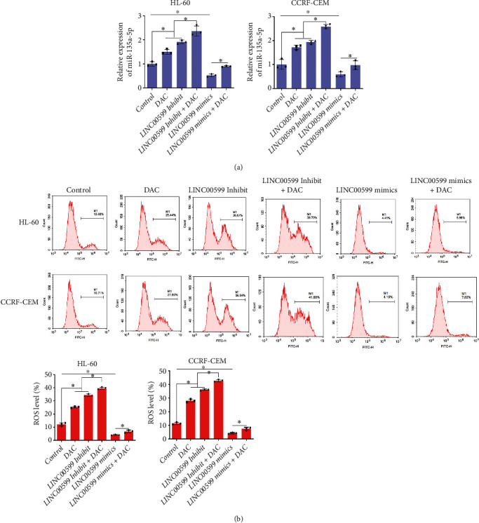 Mechanism of Action of Decitabine in the Treatment of Acute Myeloid Leukemia by Regulating LINC00599.