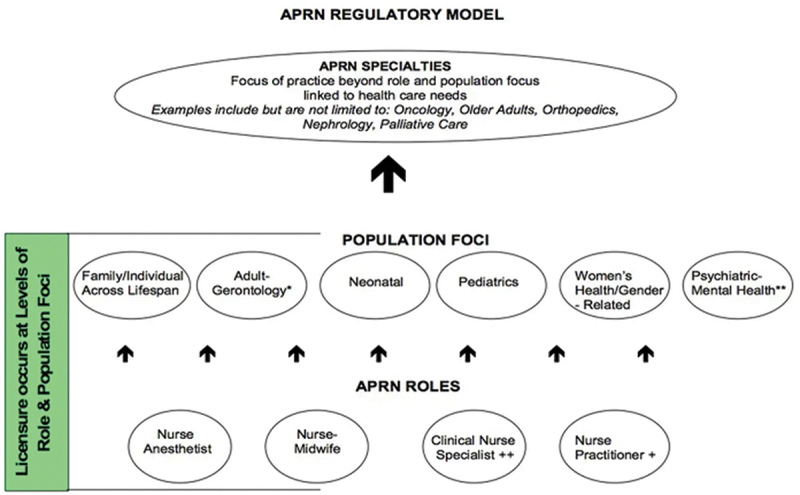 CPD providers can positively impact practice by better understanding how APNs are educated, licenced, and certified.