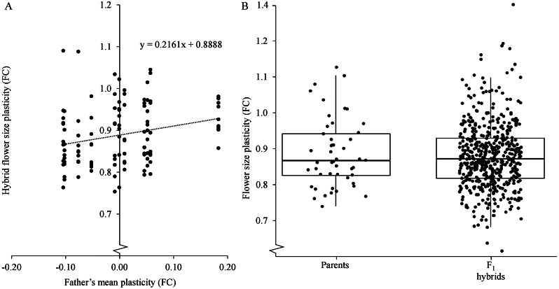 Heritability of temperature-mediated flower size plasticity in <i>Arabidopsis thaliana</i>.