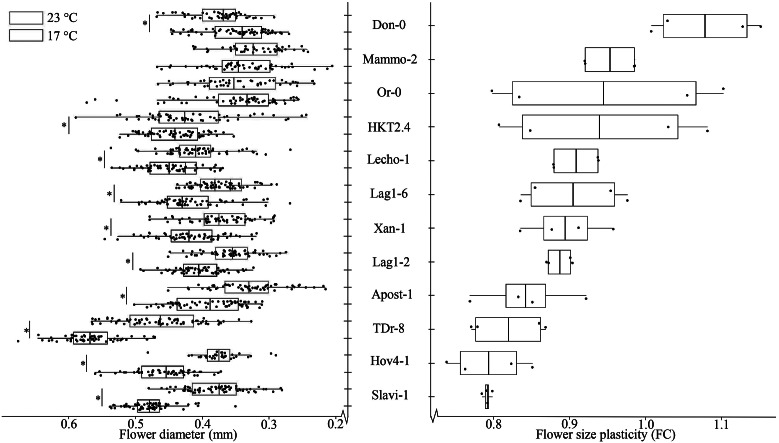 Heritability of temperature-mediated flower size plasticity in <i>Arabidopsis thaliana</i>.