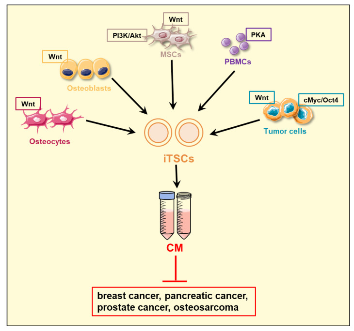 The Double-Edged Proteins in Cancer Proteomes and the Generation of Induced Tumor-Suppressing Cells (iTSCs).