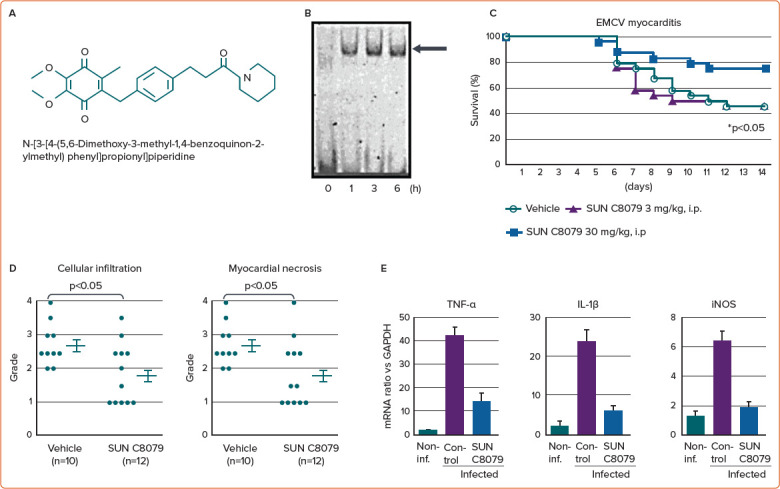 Nuclear Factor-κB is a Prime Candidate for the Diagnosis and Control of Inflammatory Cardiovascular Disease.