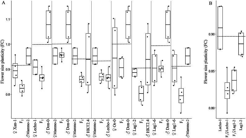 Heritability of temperature-mediated flower size plasticity in <i>Arabidopsis thaliana</i>.