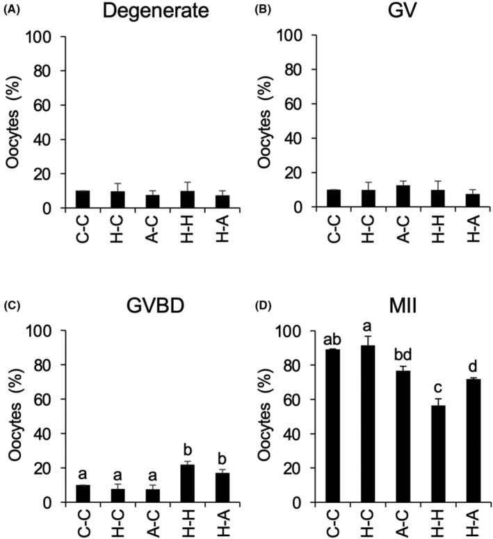 Pre-culture with transferrin-Fe<sup>3+</sup> before in vitro maturation improves the developmental competence of porcine oocytes matured in vitro.