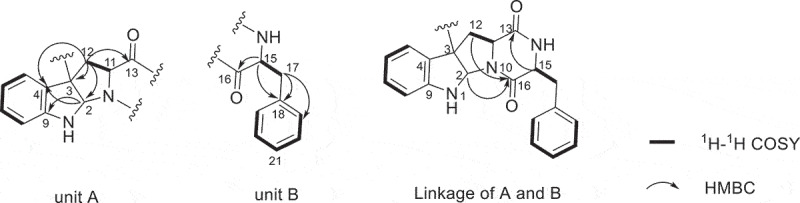 Novel indole diketopiperazine stereoisomers from a marine-derived fungus <i>Aspergillus</i> sp.