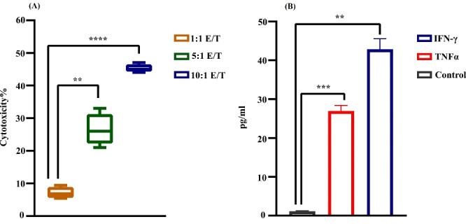 Chemo-immune cell therapy by intratumoral injection of adoptive NK cells with capecitabine in gastric cancer xenograft model.