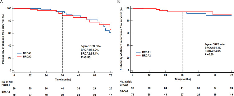 Survival Outcomes and Efficacy of Platinum in Early Breast Cancer Patients with Germline BRCA1 or BRCA2 Mutation: A Multicenter Retrospective Cohort Study.