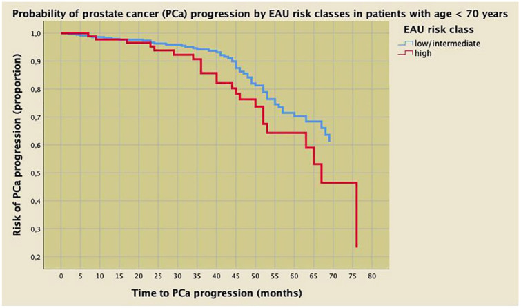 Normal preoperative endogenous testosterone levels predict prostate cancer progression in elderly patients after radical prostatectomy.