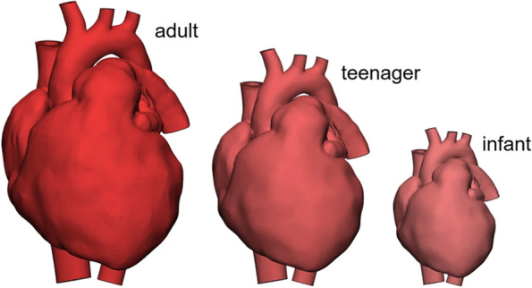 Advanced Image Segmentation and Modeling - A Review of the 2021-2022 Thematic Series.