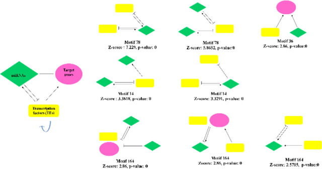 Identification of Critical Molecular Factors and Side Effects Underlying the Response to Thalicthuberine in Prostate Cancer: A Systems Biology Approach.