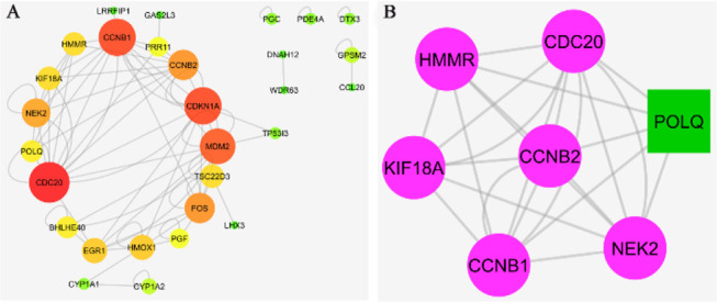 Identification of Critical Molecular Factors and Side Effects Underlying the Response to Thalicthuberine in Prostate Cancer: A Systems Biology Approach.