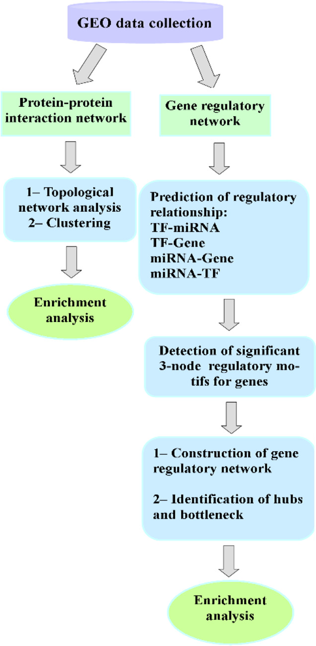 Identification of Critical Molecular Factors and Side Effects Underlying the Response to Thalicthuberine in Prostate Cancer: A Systems Biology Approach.