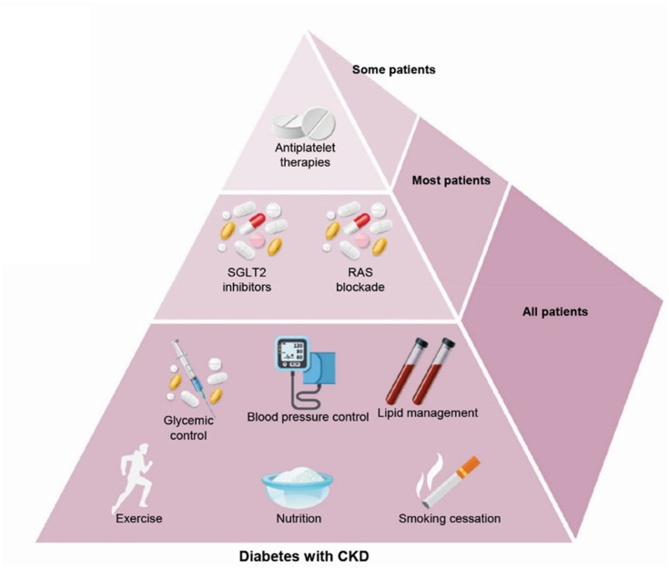 Chronic Kidney Disease Management in the Middle East and Africa: Concerns, Challenges, and Novel Approaches.