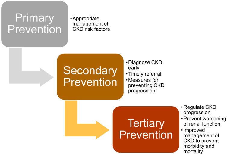 Chronic Kidney Disease Management in the Middle East and Africa: Concerns, Challenges, and Novel Approaches.