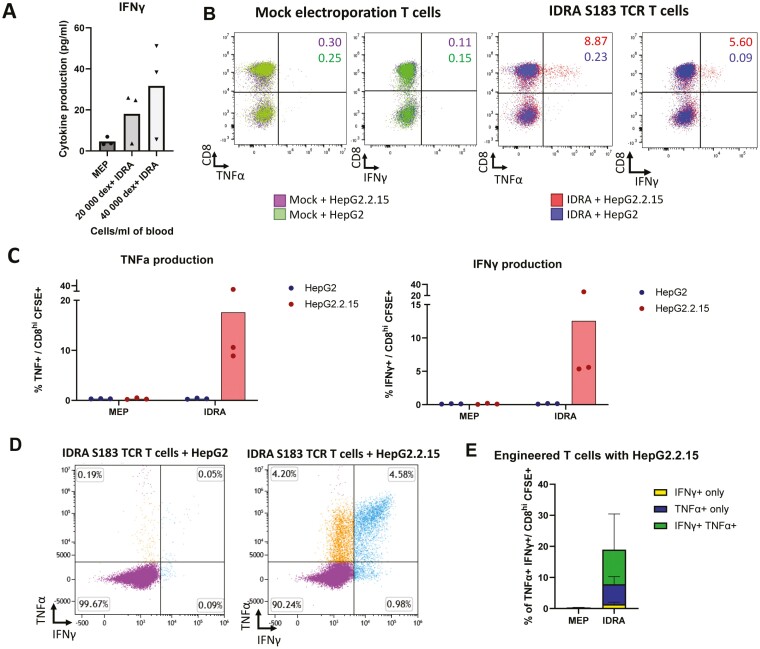 Lytic efficiency of immunosuppressive drug-resistant armoured T cells against circulating HBV-related HCC in whole blood.